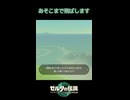 【ティアキン】コログ3段飛ばしRolling