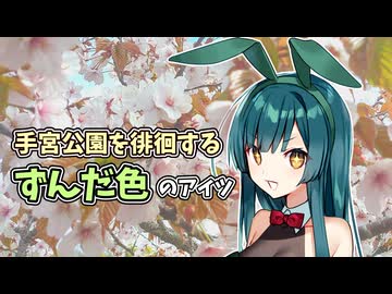 手宮公園を徘徊するずんだ色のアイツ【散歩動画】
