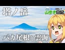 【塔ノ岳】山初心者おじさん 神奈川の大倉尾根を登り、バカ尾根呼ばわれされる理由を骨身にしみて理解する