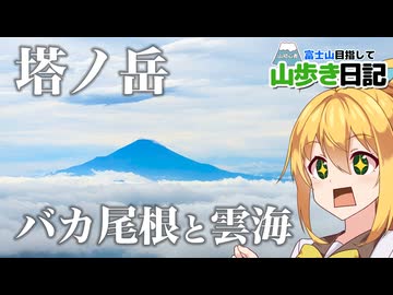 【塔ノ岳】山初心者おじさん 神奈川の大倉尾根を登り、バカ尾根呼ばわれされる理由を骨身にしみて理解する