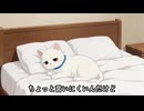 絶対やめて！猫が拷問に感じる飼い主のNG行動【猫雑学】