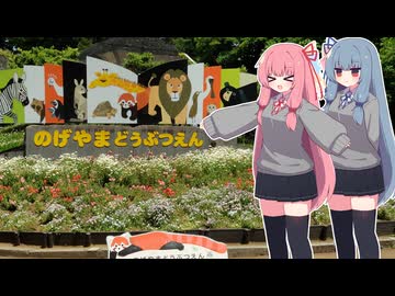 野毛山動物園にいるペンギンを見に行く会