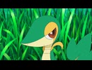 ポケットモンスター ベストウイッシュ　第7話　ツタージャ・ゲットでメロメロ！？