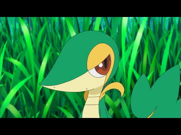 ポケットモンスター ベストウイッシュ　第7話　ツタージャ・ゲットでメロメロ！？