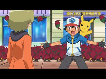 ポケットモンスター ベストウイッシュ　第22話　ヒウンシティ！フシデパニック！！