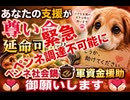 あなたの支援が尊い命を延命可能に　ペンネ社会鍋軍資金援助御願いします