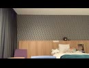 2026_0514_162944_暇つぶし 49-