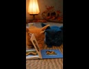 本を読んでみよう