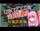 初心者詐欺師向け実践講座9講目　妊娠詐欺編