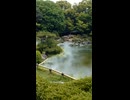 五月雨（さつきあめ）の何気ない日常・大濠公園の日本庭園