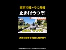 【独自】警察「止まれ！うつぞ！」東京で軽トラに発報…パトカーに衝突して逃走 東京・世田谷