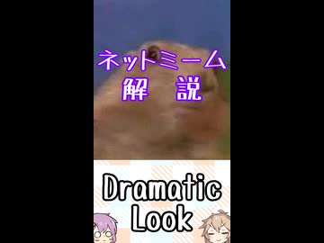 ゆかつむネットミーム解説【Dramatic Look】