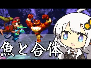 【スーパードンキーコング2】魚を無理やり陸に上げてゴールまで連れていく【最難関ステージ】