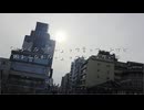 エイプリル / 重音テトSV
