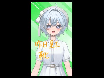 【頑張ってきたことに気づく夕方に】硝子の靴のランナー/ツイノツイ×桜羽こすも　#歌ってみた