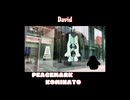 [EN]Song "David" feat ふたばこみなと 野良投稿祭
