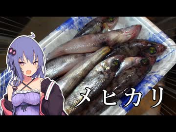 【おつまみ】お家で作れるメヒカリの一夜干し【VOICEROIDキッチン】