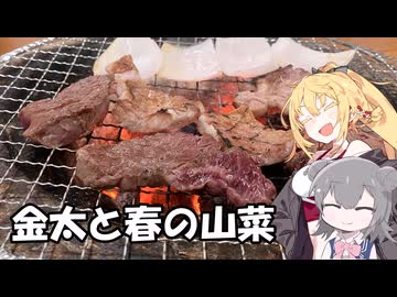 金太と春の山菜