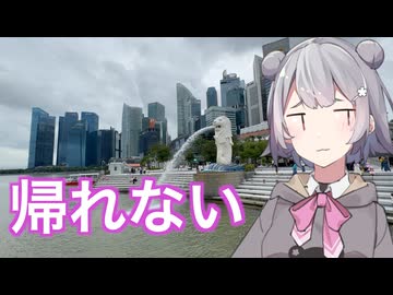 【大阪→シンガポール】シンガポール日帰り旅行「クリスマス前には帰国できると思うんです」【サバイバル編】