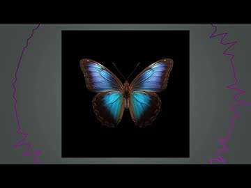 【ナイトメア】 Morpho / IA 【カバー】