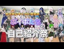 【自己紹介祭】カスタムキャスト時空のボイボたち自己紹介祭【ソフトウェアトーク劇場】
