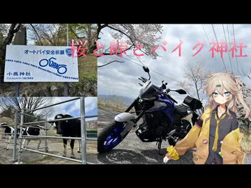 【バイク車載】桜と峠とバイク神社