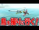 【マリオカートワールド】フリーランの世界でバードウォッチングする【スイッチ2 / ニンテンドースイッチ2 / Switch2】
