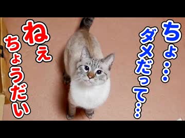 ヤバいものを手に入れちゃいました…