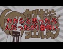 【ポケモンチャンピオンズ】カカシと思ったら人だったが1番怖い【実況プレイ】