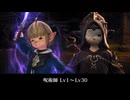 【FF14】呪術師 Lv1~30 ジョブクエスト