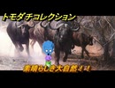 トモダチコレクション　素晴らしき大自然！！　島の住人観察日記（ポケモン編）　＃５５４　【トモコレわくわく生活】