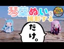 【25動グループフェス】琴葉ぬいを撮影するだけ【VOICEROID雑談】