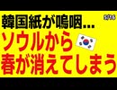 真夏日にネット落胆「ソウルから春が消えた」と韓国紙が嗚咽