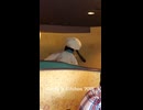 グーフィーズキッチン