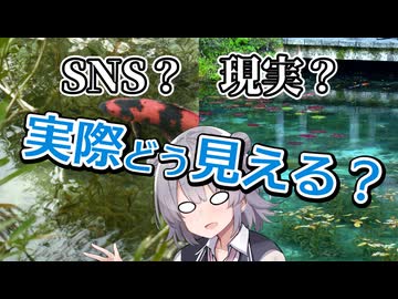 超きれい？がっかり？話題の池の実際を見てきた【プチTNTN☆Touring】