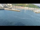 アメリカ潜水艦〔ガトー級潜水艦〕潜水艦ハンマーヘッド潜水艦ギターロ潜水艦ガヴィナ潜水艦タリビー潜水艦ティノサ潜水艦タニー潜水艦サンフィッシュ潜水艦スティールヘッド潜水艦スヌーク潜水艦スキャンプの気分