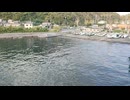 アメリカ潜水艦〔テンチ級潜水艦〕潜水艦アルゴノート潜水艦ランナー潜水艦カットラス潜水艦ディアブロ潜水艦メドレガル潜水艦アイレックス潜水艦シラーゴの乗組員の気分になれるカラーフィルム・カラー映像
