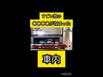 車内に鬼のような量のミニカー