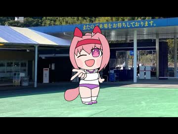 魔王【ハルウララがんばる! ウマ娘たぬき アグネスデジタル イブキライズアップ】