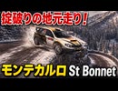 【TASさんの休日】ネジの外れたラリー走行 モンテカルロラリーSt Bonnet