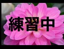 26・5・16昼　UP出来無い　状況が続いています。何で?