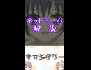 ゆかつむネットミーム解説【キマシタワー】