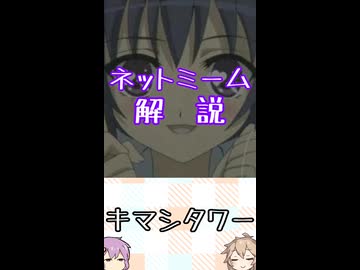 ゆかつむネットミーム解説【キマシタワー】