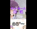ゆかつむネットミーム解説【あら^〜】