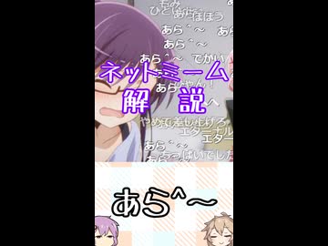 ゆかつむネットミーム解説【あら^〜】