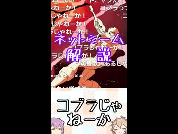 ゆかつむネットミーム解説【コブラじゃねーか】
