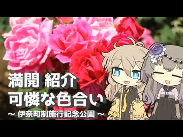 【VOICEVOX旅行】満開 紹介 可憐な色合い ～伊奈町制施行記念公園～【ラップっぽいなにか】