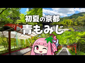 初夏から京都は青もみじ～新緑モフモフもみじの観光スポットを訪ねてみよう～