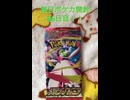 毎日ポケカ開封26日目