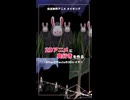 2Dアニメに奥行きを作るAfterEffectsの3Dレイヤー【自主制作アニメ メイキング 】